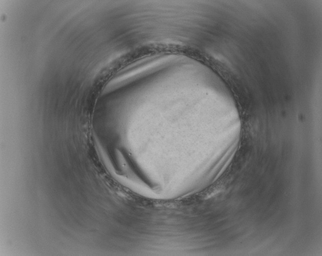 X0000061730870200512231432