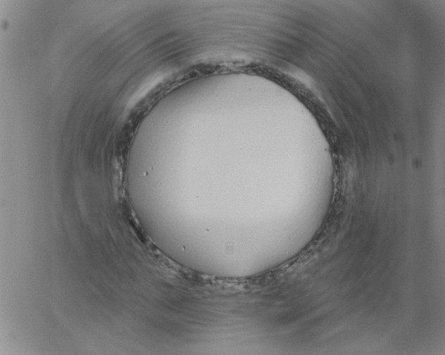 X0000061730871200512231432