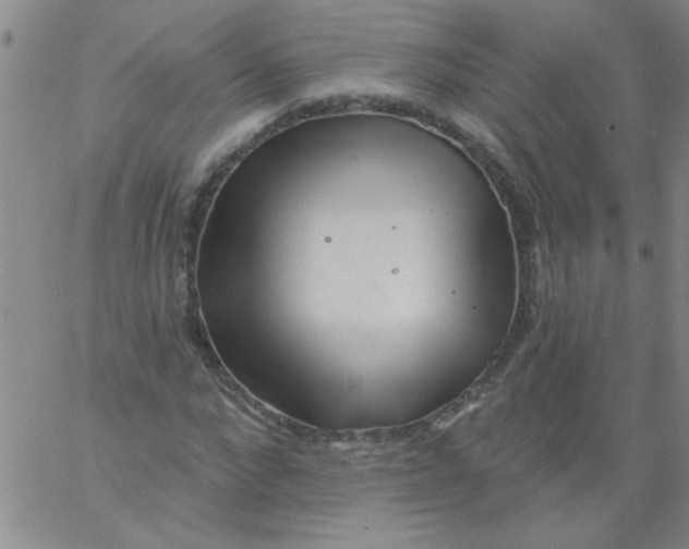 X0000061730872200512231432