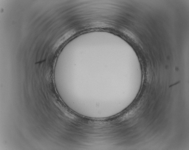 X0000061730873200512231432