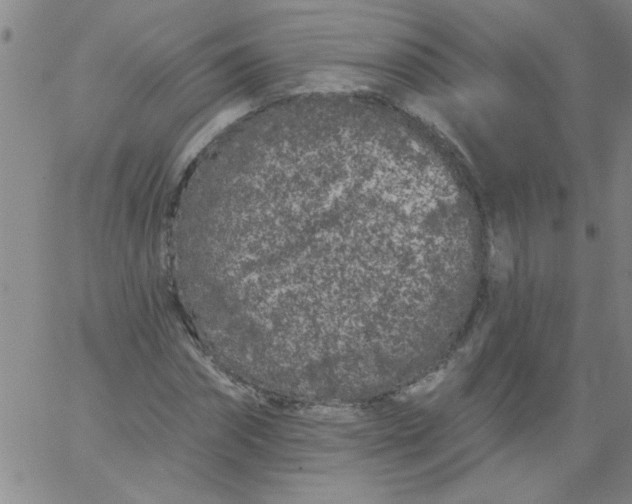 X0000061730874200512231432