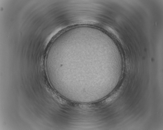 X0000061730875200512231432