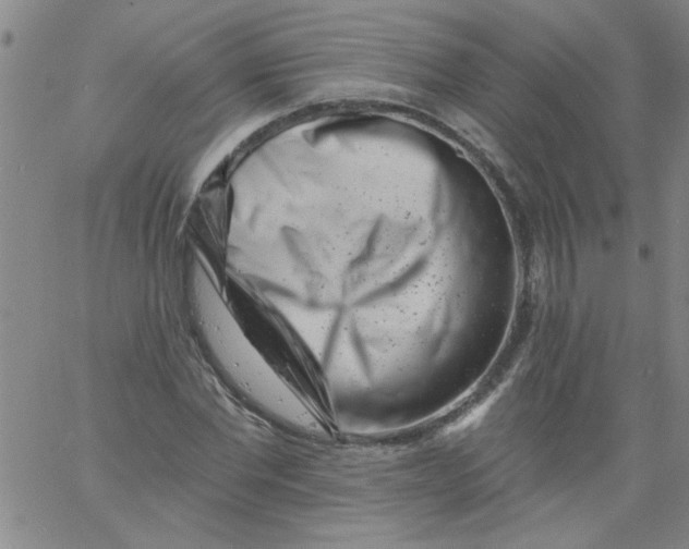 X0000061730877200512231432