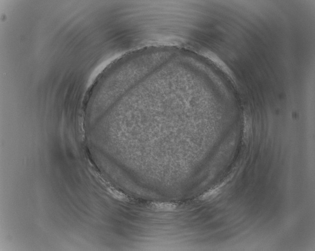 X0000061730878200512231432