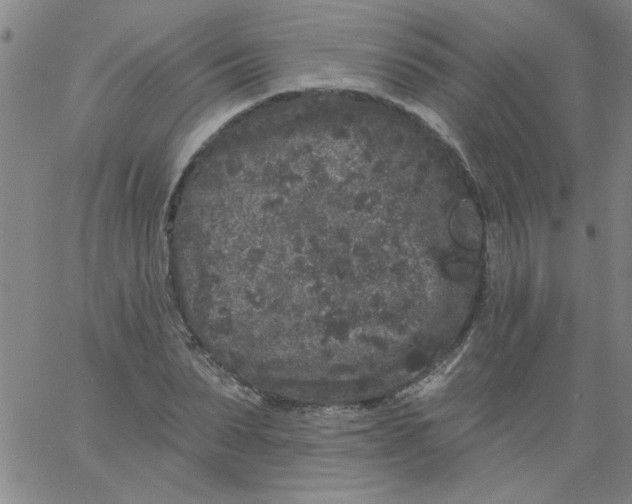 X0000061730879200512231432