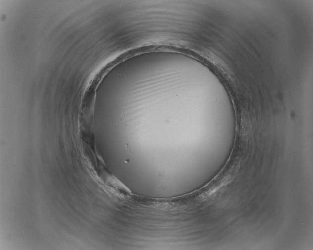 X0000061730880200512231432