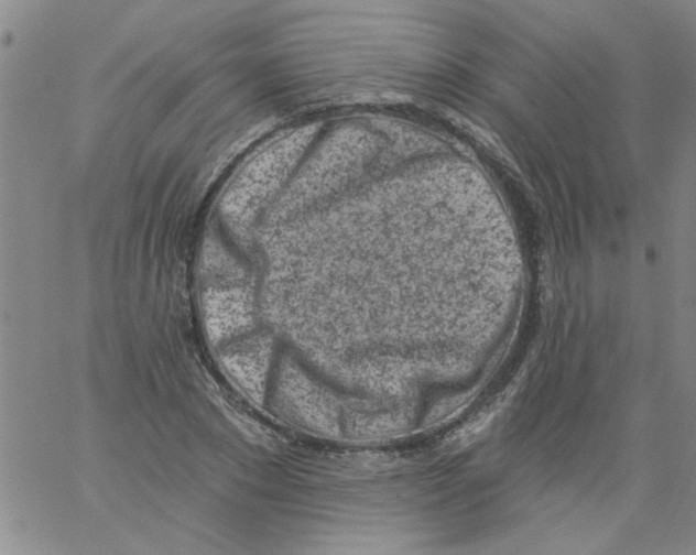 X0000061730881200512231432