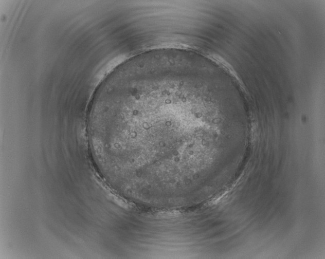 X0000061730882200512231432