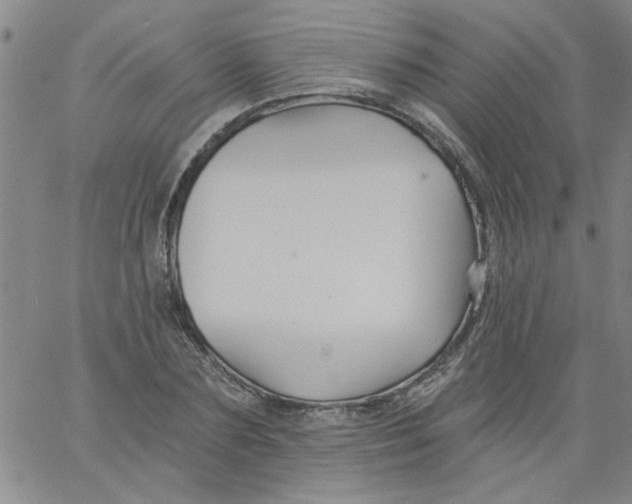 X0000061730883200512231432