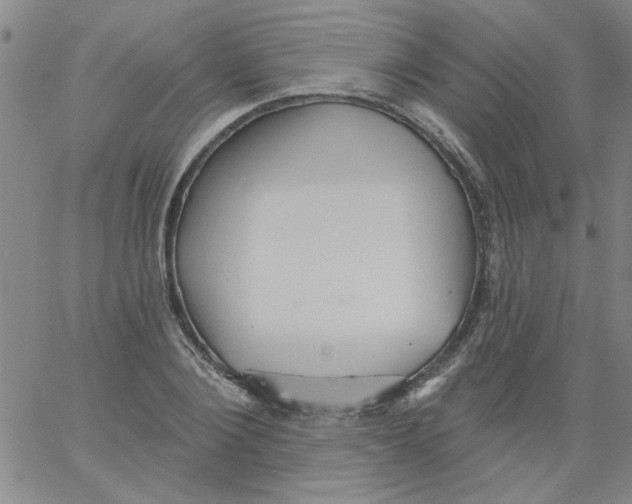 X0000061730884200512231432