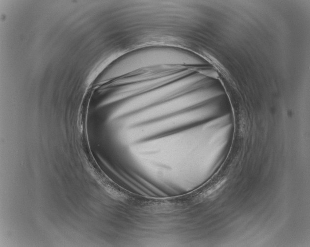 X0000061730885200512231432