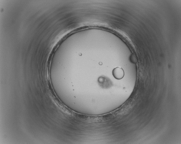 X0000061730887200512231432