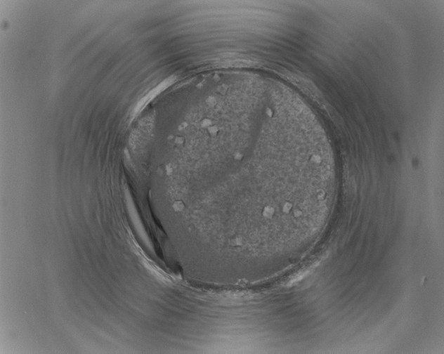 X0000061730889200512231432