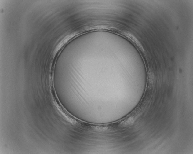 X0000061730890200512231432