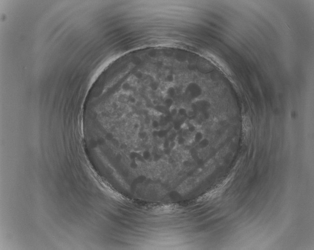 X0000061730891200512231432