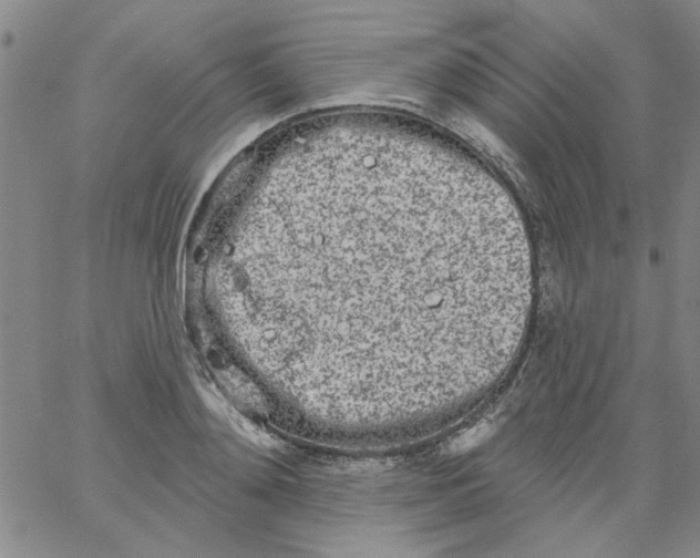 X0000061730892200512231432