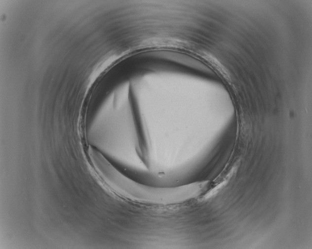 X0000061730893200512231432