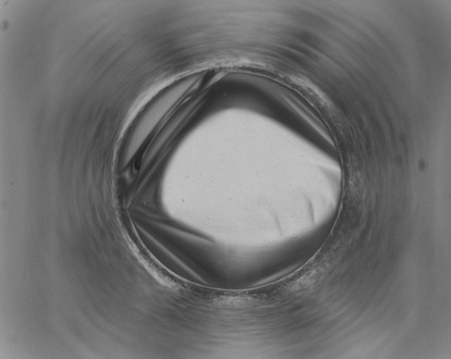 X0000061730894200512231432