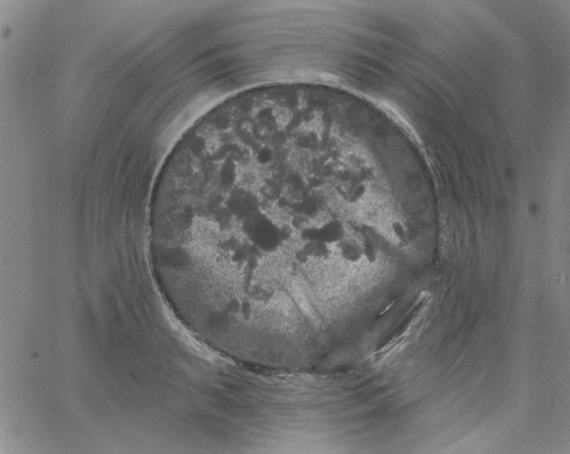 X0000061730895200512231432