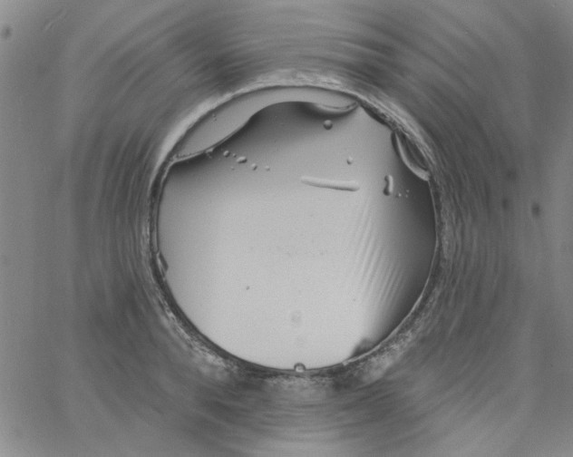 X0000061730896200512231432