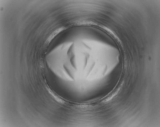 X0000061730897200512231432