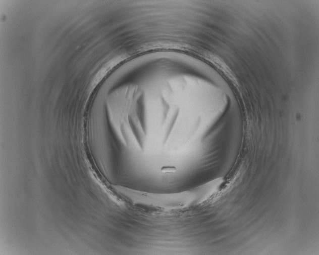 X0000061730898200512231431