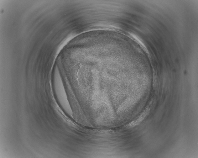 X0000061730899200512231431