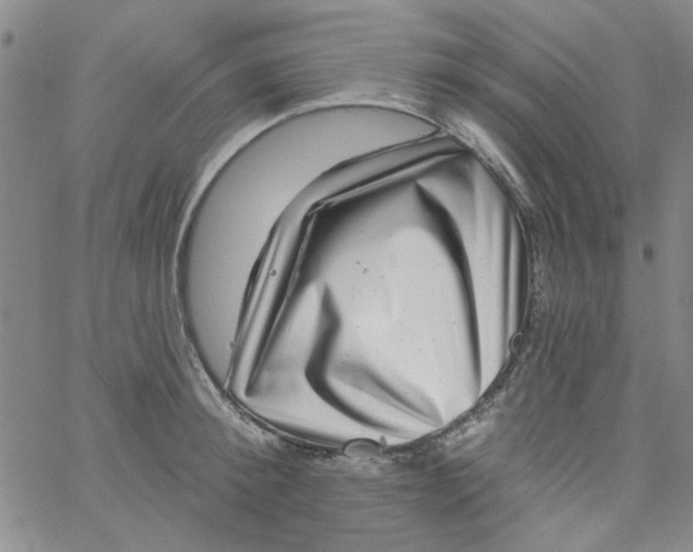 X0000061730900200512231431