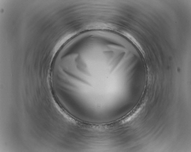 X0000061730901200512231431