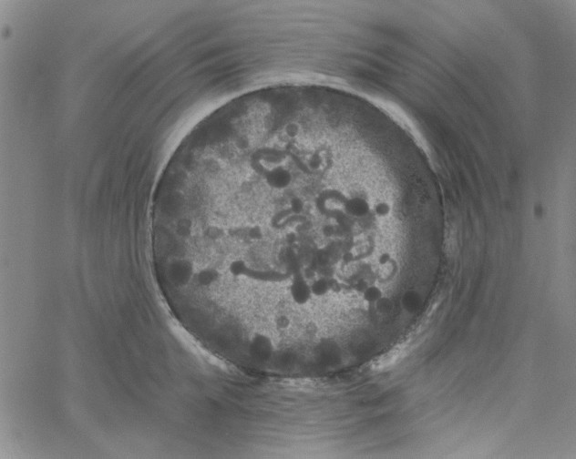 X0000061730903200512231431