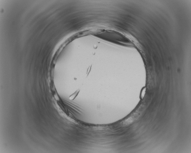 X0000061730904200512231431