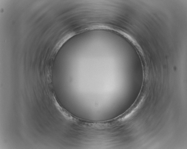 X0000061730905200512231431