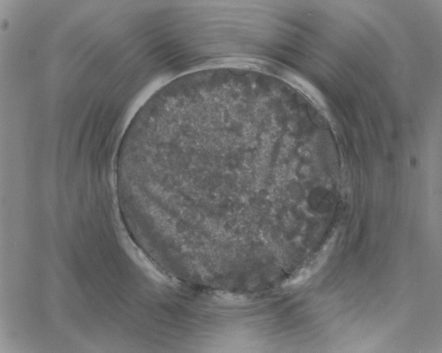 X0000061730907200512231431