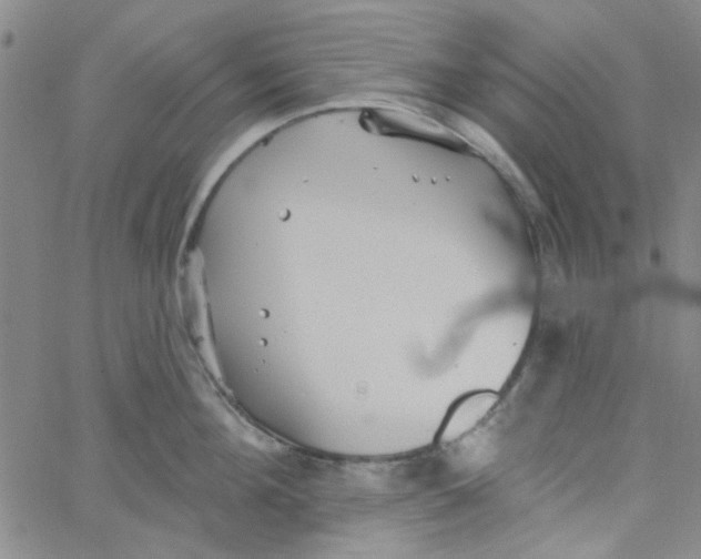 X0000061730908200512231431