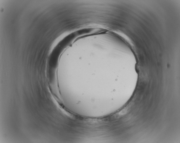 X0000061730910200512231431