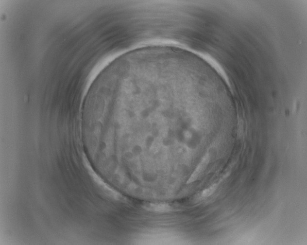 X0000061730911200512231431