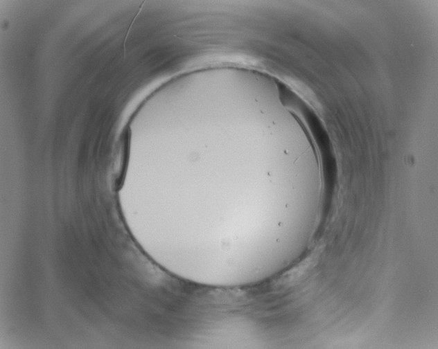 X0000061730912200512231431