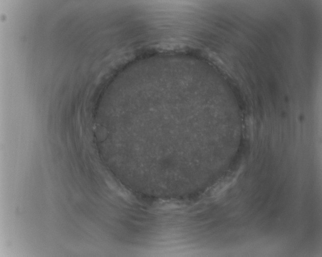 X0000061730913200512231430