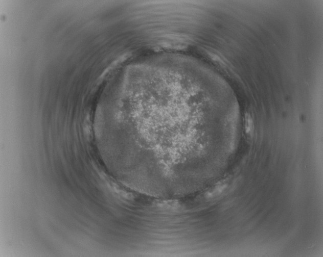 X0000061730915200512231431