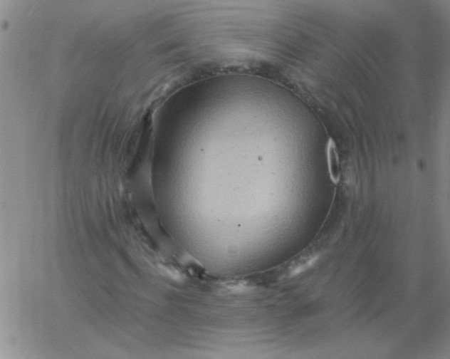 X0000061730916200512231431