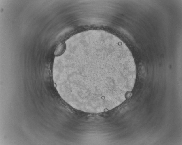 X0000061730918200512231431