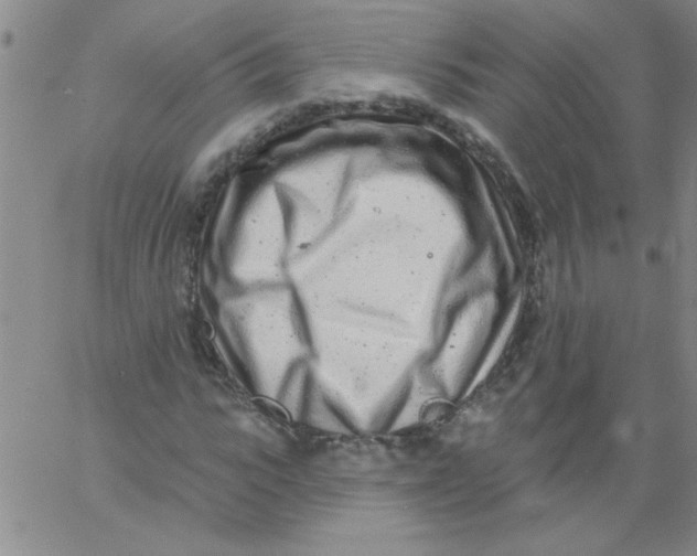 X0000061730919200512231431