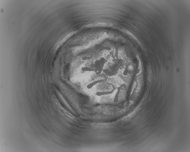 X0000061730921200512231431