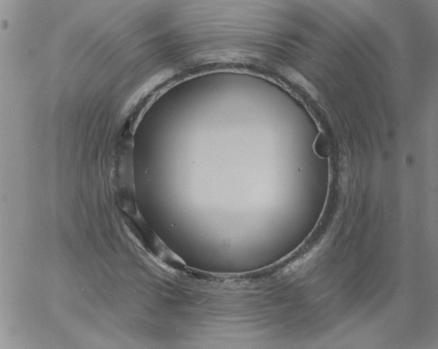 X0000061730922200512231431