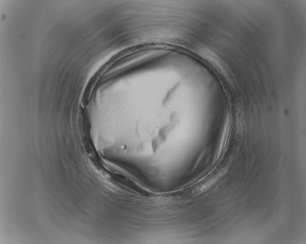 X0000061730924200512231431