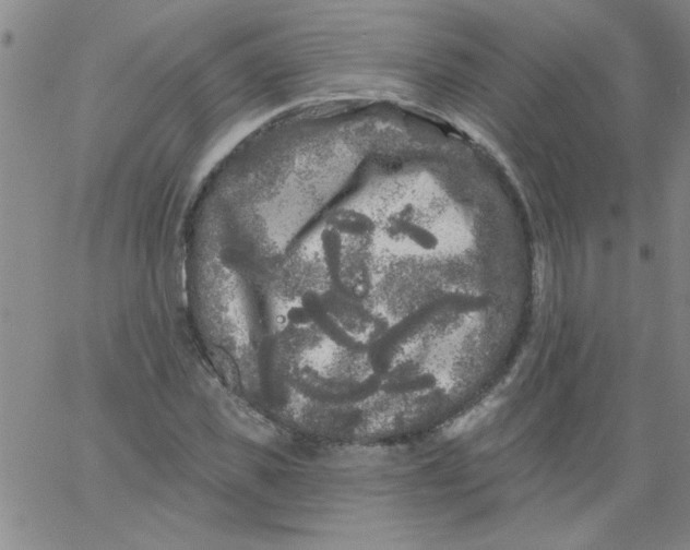 X0000061730925200512231431