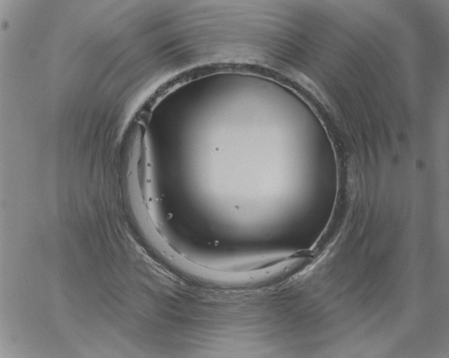 X0000061730926200512231431