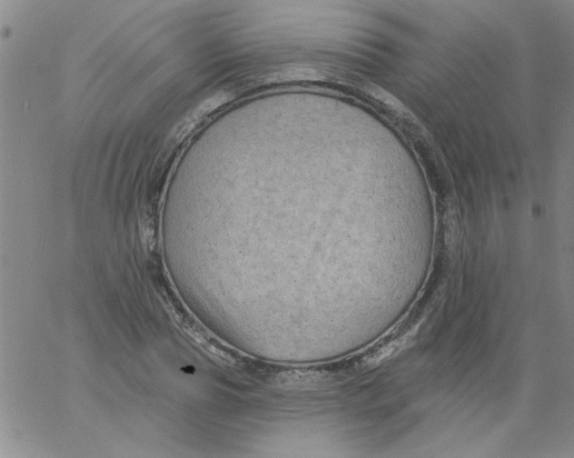 X0000061730929200512231431