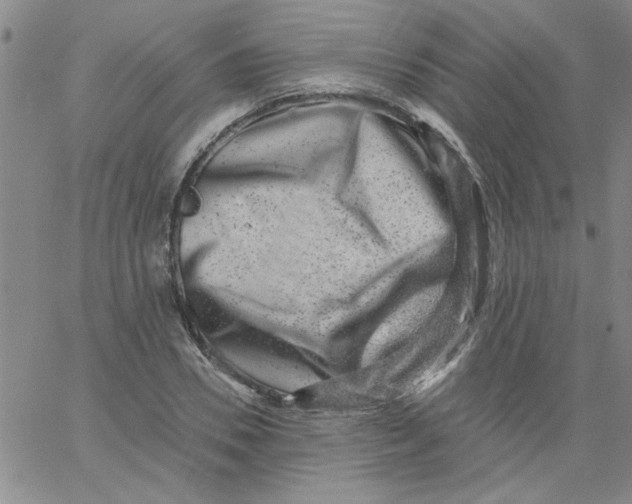 X0000061730930200512231431