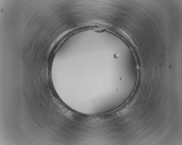 X0000061730931200512231431